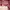 Love Bonito Goth Coquette Going Out Dress Wanita Burgundy