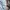 KIRSH Streetwear Casual Sweater Pria blue photo 4