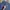 Japanese brand Vintage Casual Sweatshirt Pria navy blue photo 2
