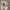 Adidas Casual Sneakers Pria cream photo 1