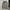 The North Face Casual Hoody Pria gray photo 1