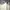 Love Bonito Lolita Coquette Jumpsuit Wanita white gray photo 6