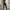 Casual Trench coat Wanita black photo 3