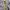 Mountain Hardwear Streetwear Sportswear Track jacket Wanita tan yellow photo 6