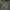 Carhartt Gorpcore Avant Garde Hoody Pria green photo 1