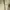Carhartt Gorpcore Avant Garde Hoody Pria green photo 3