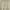 Carhartt Gorpcore Avant Garde Hoody Pria green photo 4