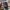 Burberry Casual Harrington jacket Pria tan photo 8