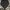 Vintage Luxury Pria navy black photo 4