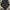 Vintage Luxury Pria navy black photo 5