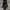 Vintage Luxury Pria navy black photo 2
