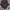 Vintage Luxury Pria purple white photo 4