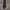Vintage Luxury Pria purple white photo 2