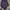 Vintage Luxury Pria purple white photo 3