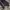 Vintage Luxury Pria purple white photo 7