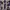Vintage Luxury Pria Purple White