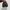 Adidas Casual Sneakers Pria green photo 4
