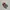 Adidas Casual Sneakers Pria multicolor photo 3