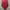 Luxury Minimalist Pria red black photo 6