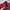 Streetwear Casual Fleece Pria burgundy photo 4