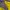 Gorpcore Sportswear Windbreaker Pria brown yellow photo 8