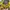 Gorpcore Sportswear Windbreaker Pria brown yellow photo 6