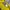 Gorpcore Sportswear Windbreaker Pria brown yellow photo 7