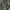 Quiksilver Gorpcore Sportswear Windbreaker Pria green photo 7