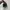 Nike Sportswear Sneakers Pria green black photo 4