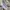 Streetwear Casual Polo shirt Pria gray photo 4