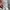 Adidas Streetwear Casual Hoody Pria gray photo 6