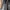 Los Angeles Apparel Goth Emo Leather jacket Wanita black photo 4