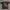 Adidas Vintage Sportswear Jersey Pria brown black photo 1
