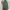 Muslim Maxi dress Wanita green photo 3