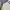 Forever 21 Casual Sweater Wanita white photo 4