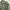 Alpha Industries Vintage Casual Bomber jacket Pria green photo 3