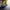 Converse Streetwear Y2K Sneakers Pria yellow photo 6