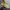 Converse Streetwear Y2K Sneakers Pria yellow photo 3