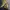 Converse Streetwear Y2K Sneakers Pria yellow photo 1