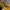 Converse Streetwear Y2K Sneakers Pria yellow photo 2