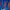 Coogi Luxury Fleece Pria multicolor photo 2
