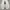 Adidas Casual Sneakers Pria white black photo 6