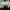 Adidas Casual Sneakers Pria white black photo 7