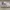 Nike Casual Sneakers Pria white photo 1