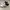 Nike Casual Sneakers Pria white photo 2