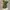 Y2K Coquette T-shirt Wanita green photo 1