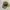 Realtree Vintage Gorpcore Hat Pria Brown