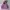 Vintage Streetwear Hoody Pria purple photo 1