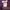 Vintage Streetwear Hoody Pria purple photo 4
