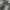 Vintage Y2K Jeans Pria white gray photo 4